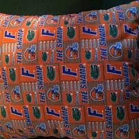 College Team Pillows